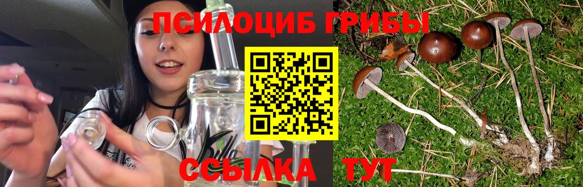 даркнет сайт  Галлюциногенные грибы мицелий  Вход с VPN  Рославль  Галлюциногенные грибы мицелий 